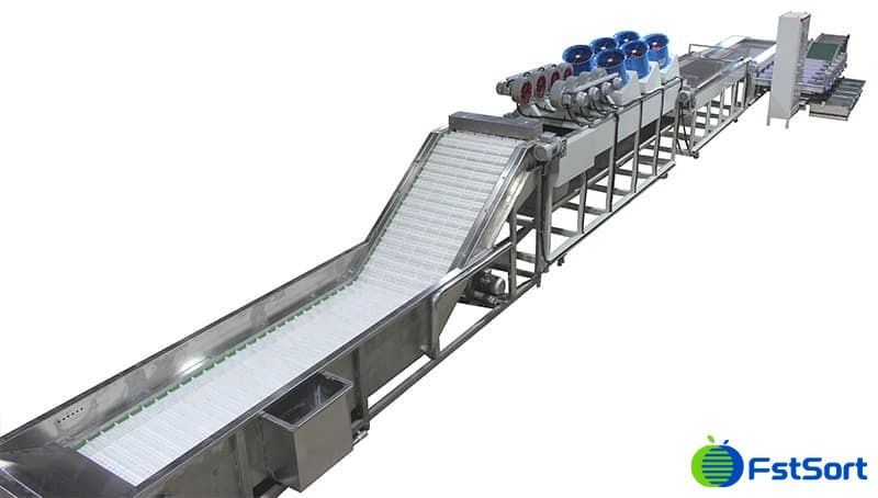 خط تنظيف وفرز وتعبئة التمور.jpg خط تنظيف وفرز وتعبئة التمور.jpg